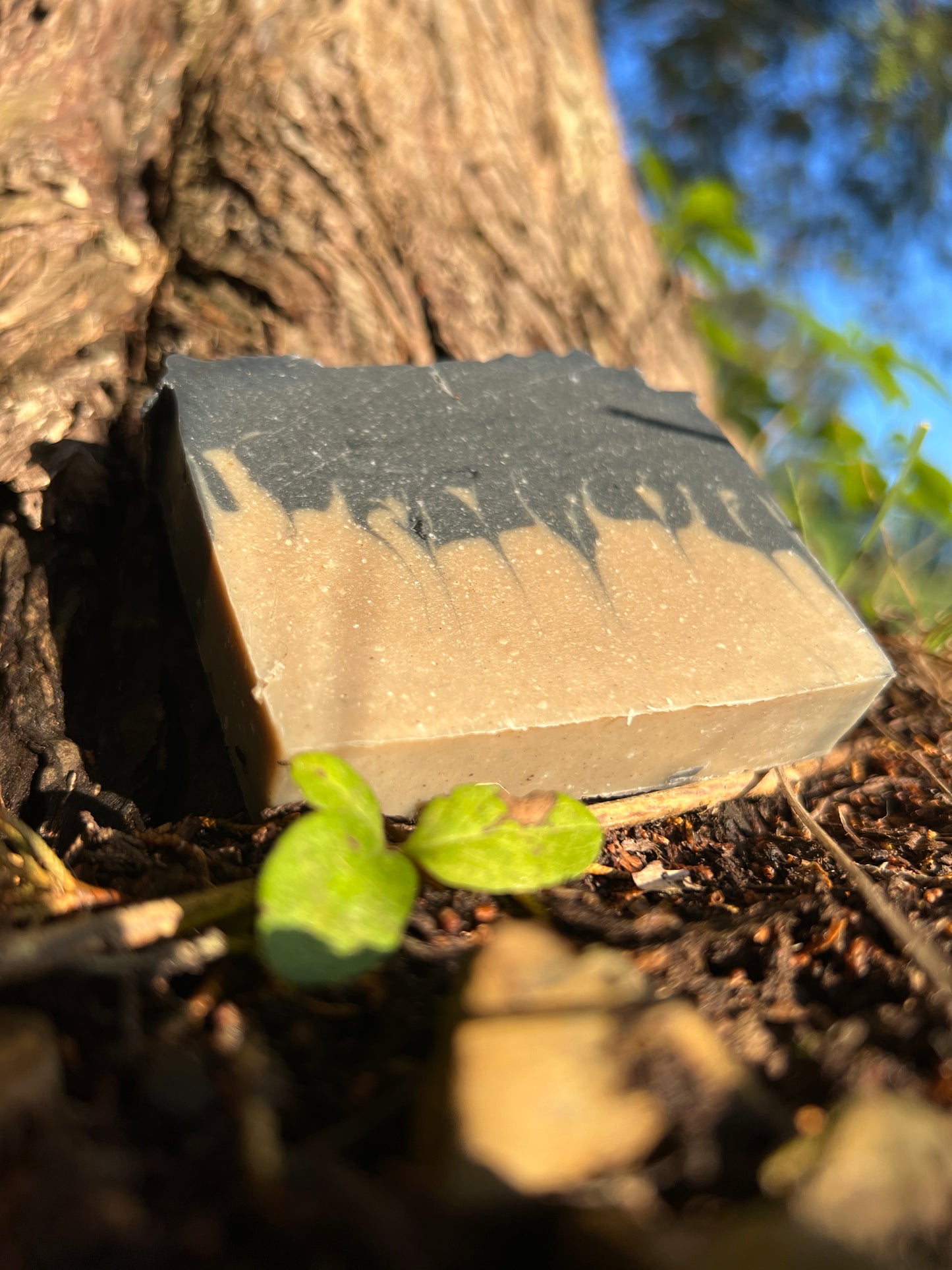 Charcoal Mud Goat Milk Soap Facial Bar