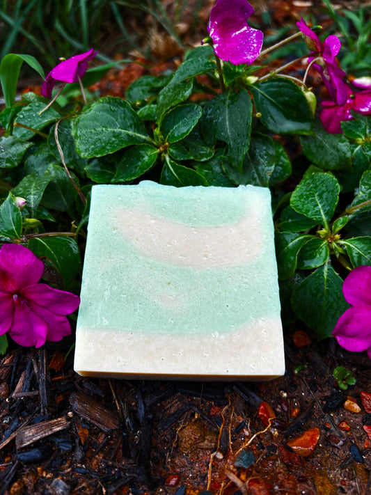 Fresh Mint Eucalyptes