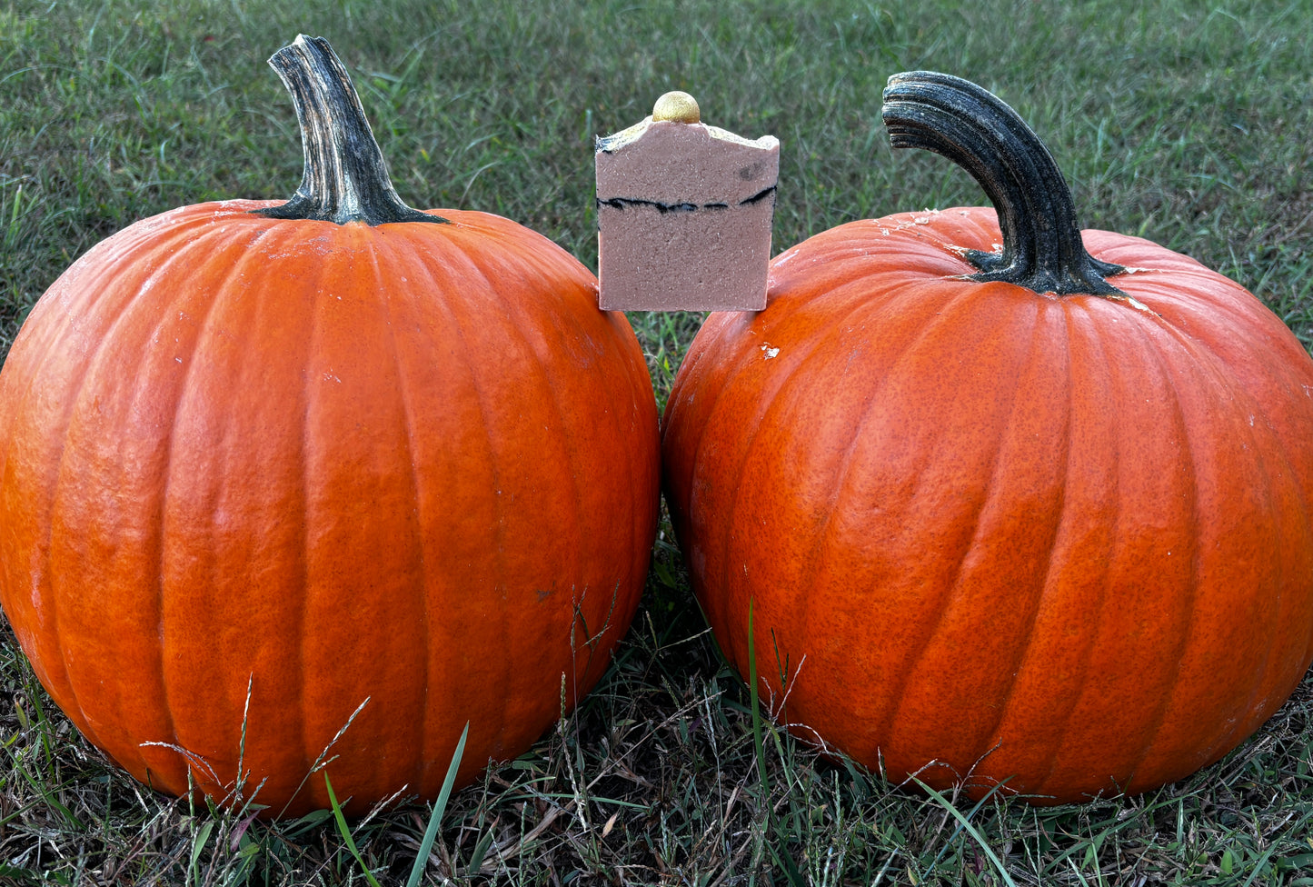 "Golden Pumpkin" Goat Milk Soap