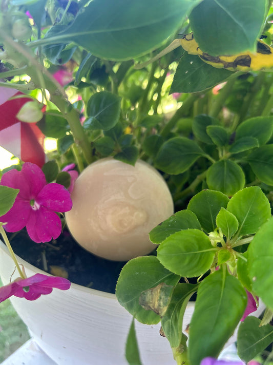 Rosemary Lavender Shampoo Bar with Honey - Round Bar